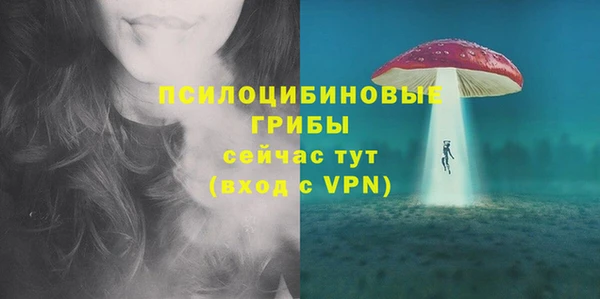 соль ск Балабаново