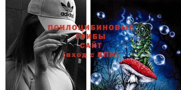 соль ск Балабаново